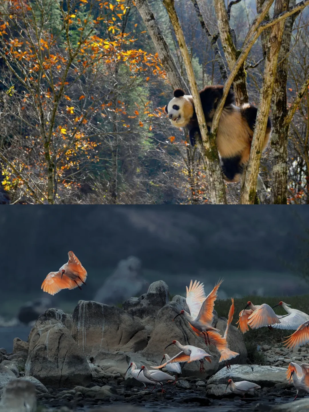 DeepSeek没骗我!我找到了最江南的西北小城