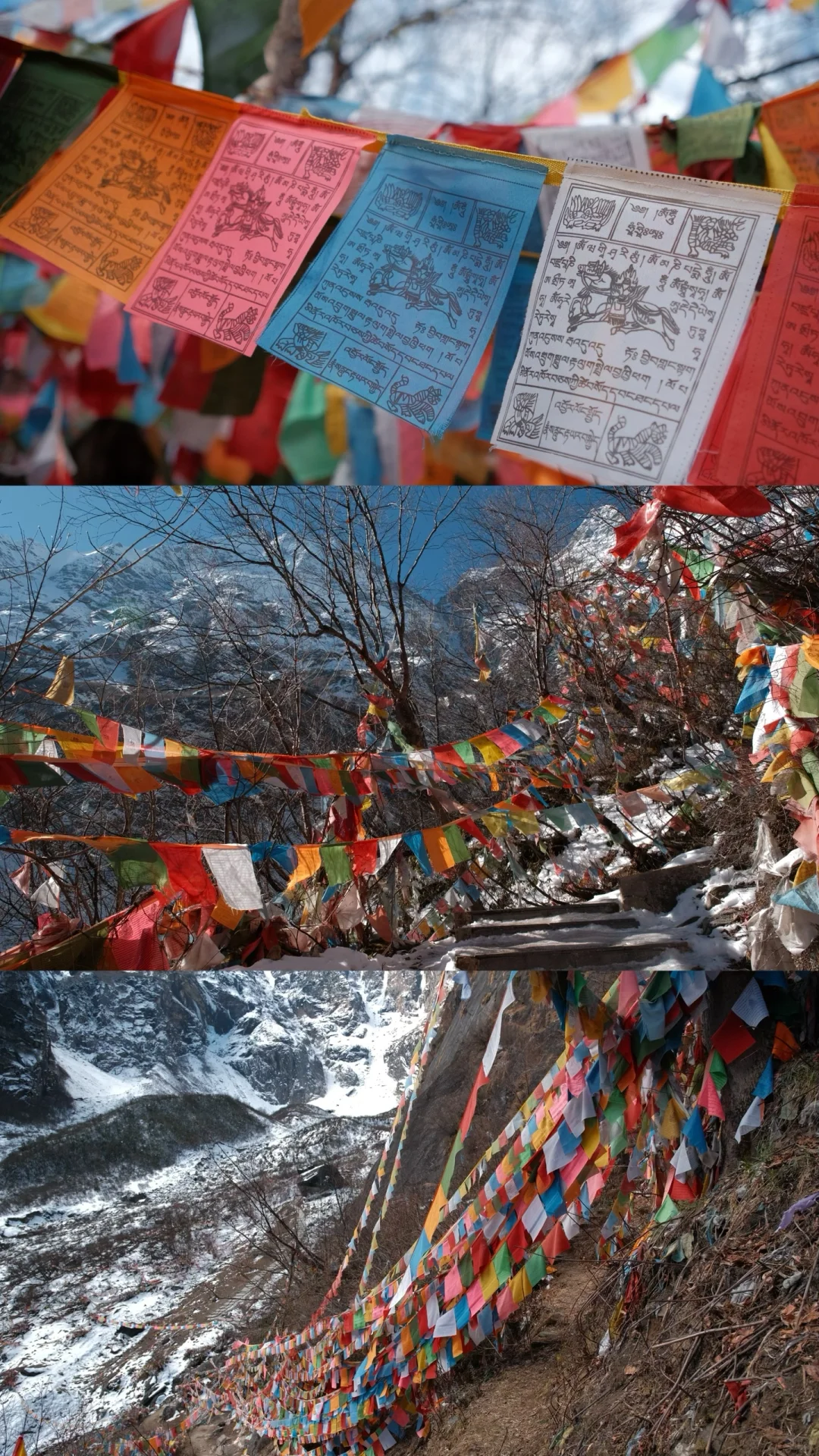 五天五晚 虎跳峡➕雨崩