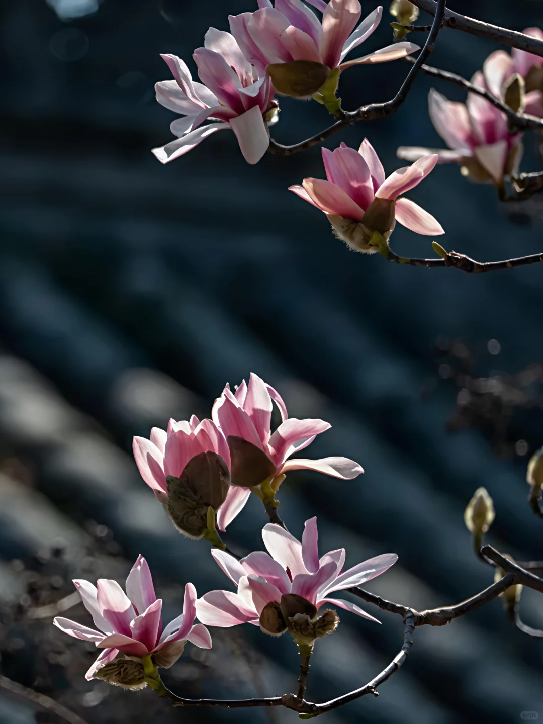 DeepSeek没骗我!我找到了最江南的西北小城