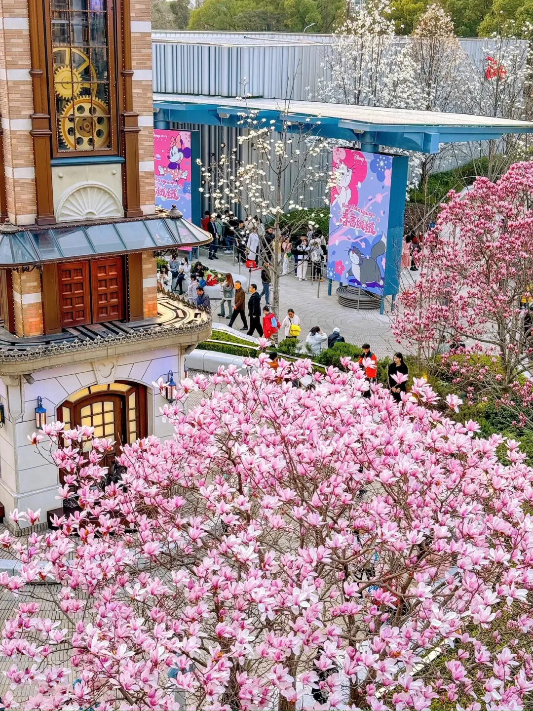 上海3月景点红黑榜📍建议去🆚不建议去