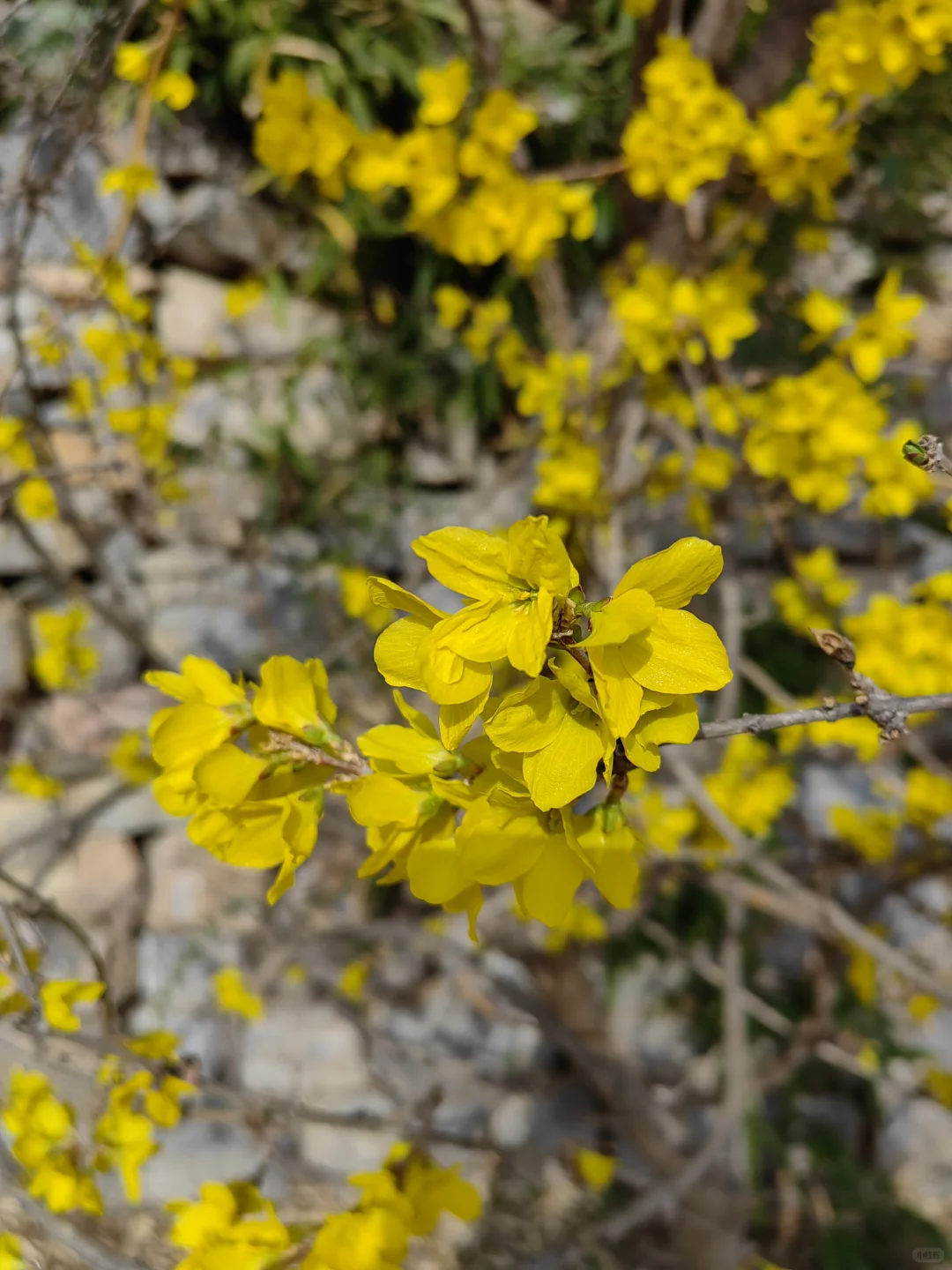 退休后我在南部山区的闲居生活