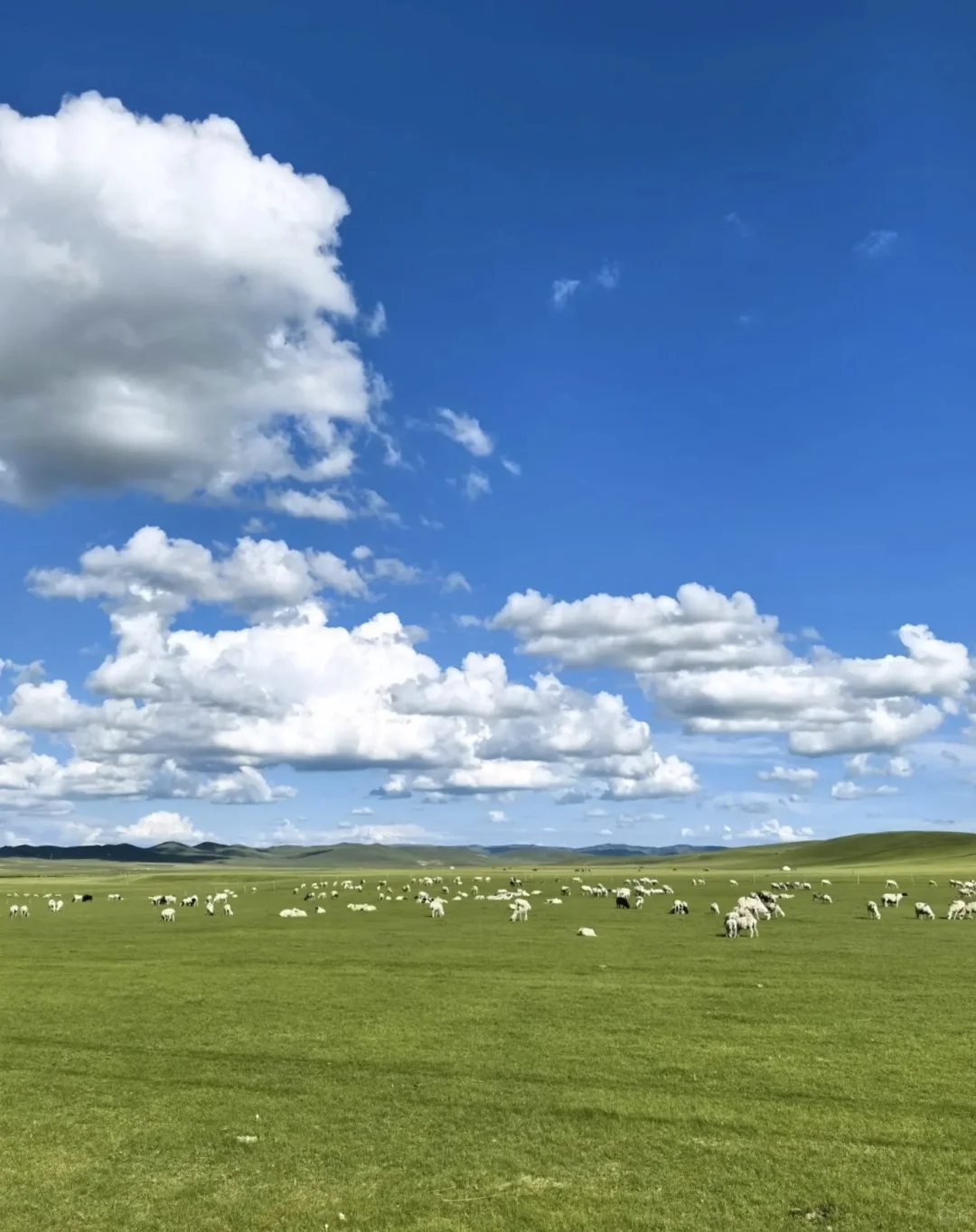 热阿线保姆级攻略｜性价比&体验感双天花板