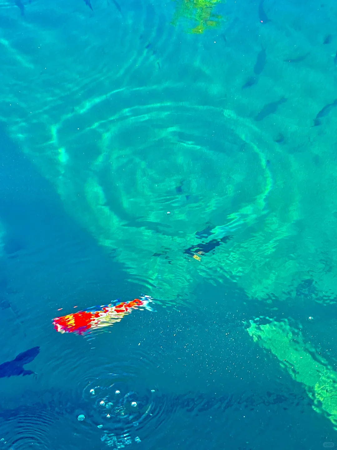 可恶！桐庐真的让我破防了😭