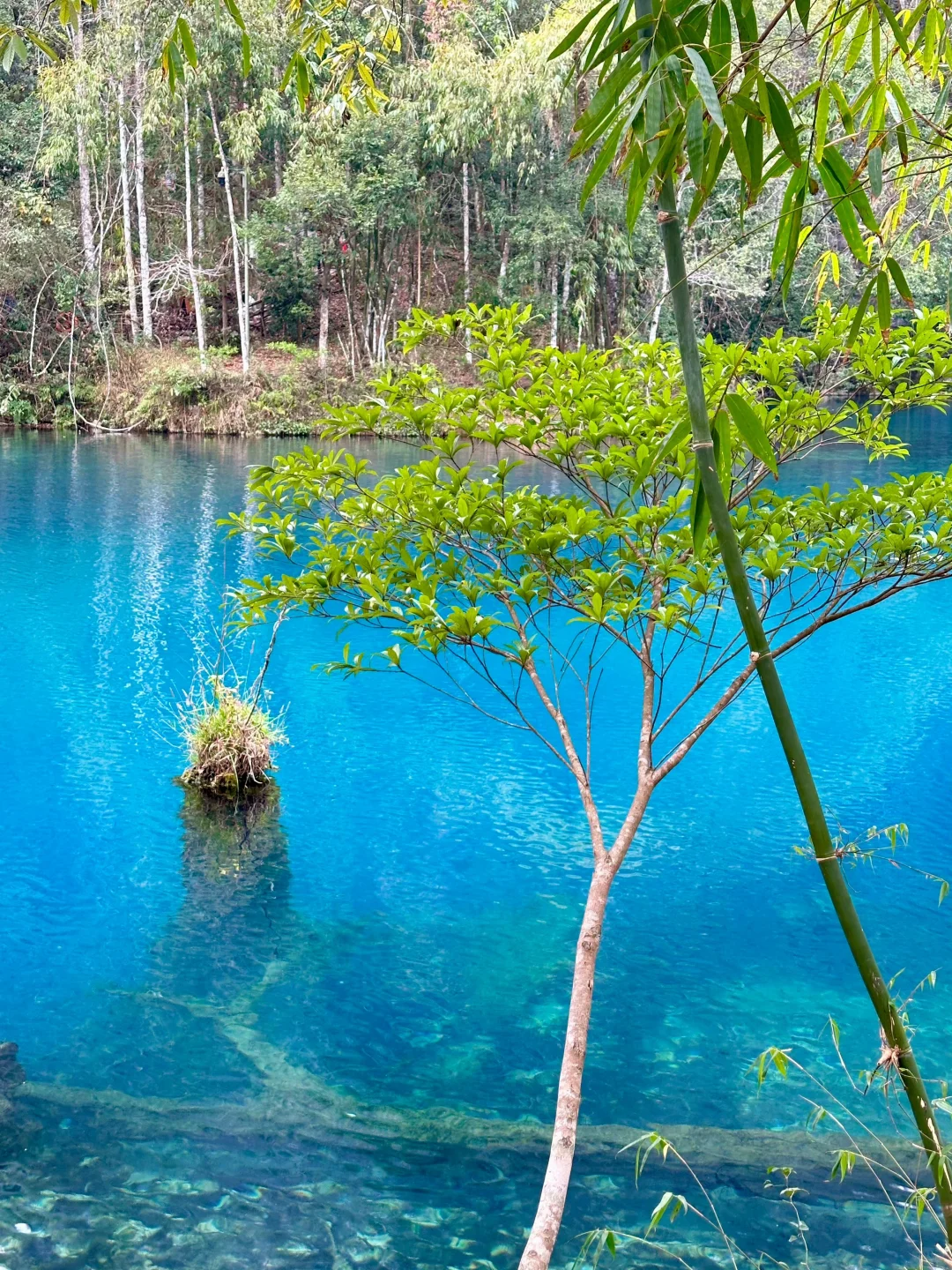 被原图直出的小七孔美哭了
