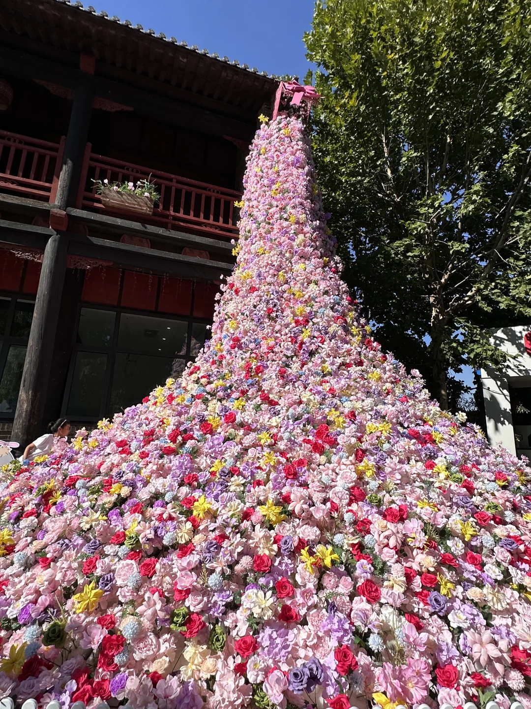 不是大理….是郑州！！！🥹🥹🥹