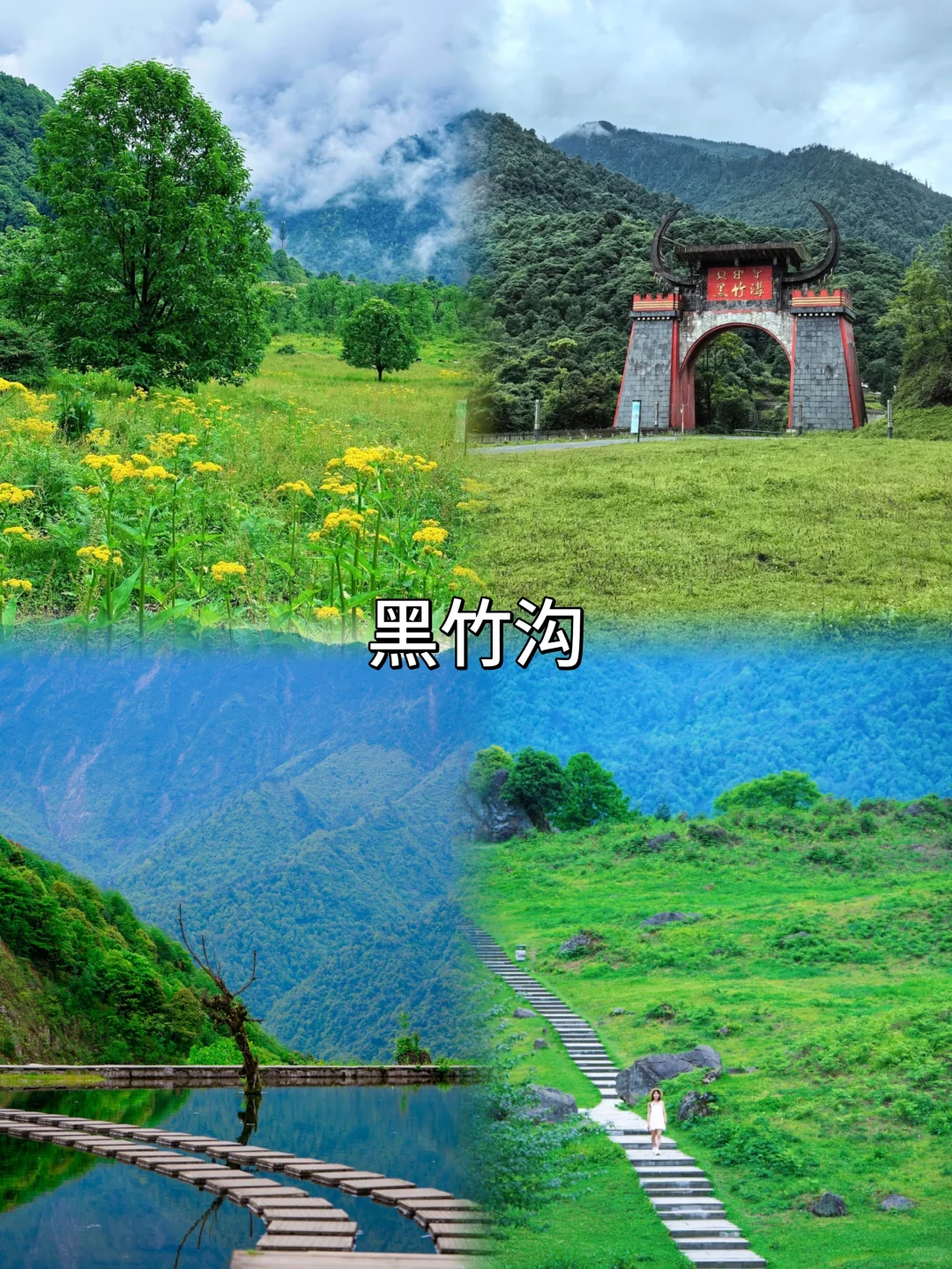 来乐山旅游🔥这8个地方一定要去❗