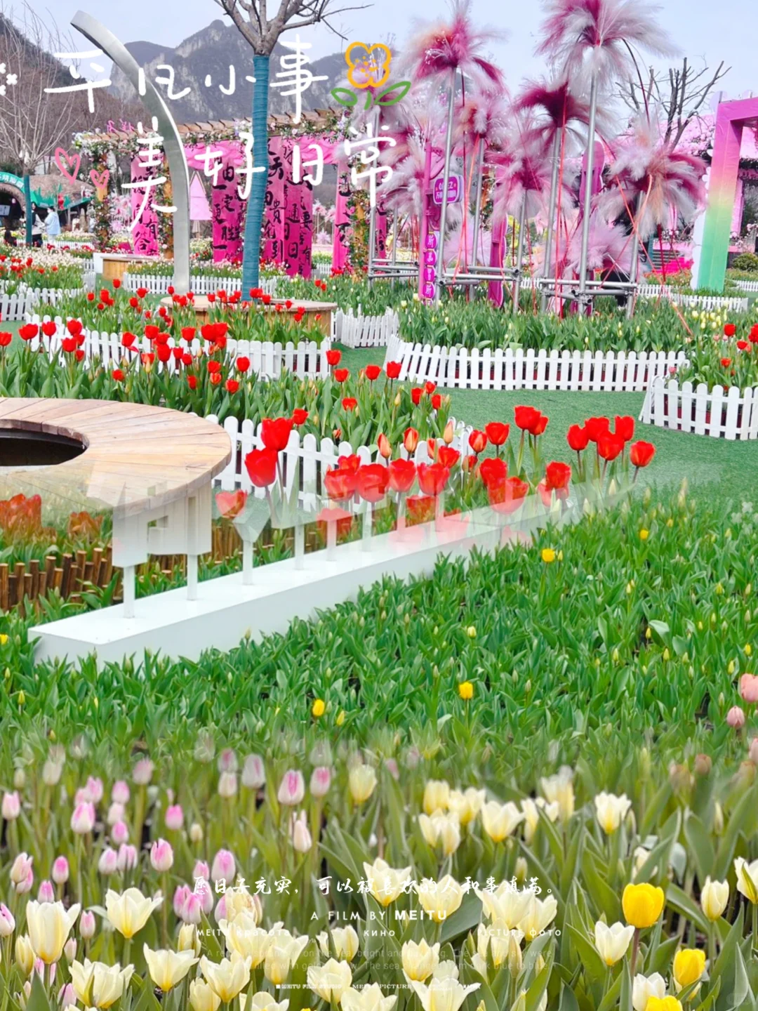 🌸我替你们探过了 宝泉郁金香花海 超棒！