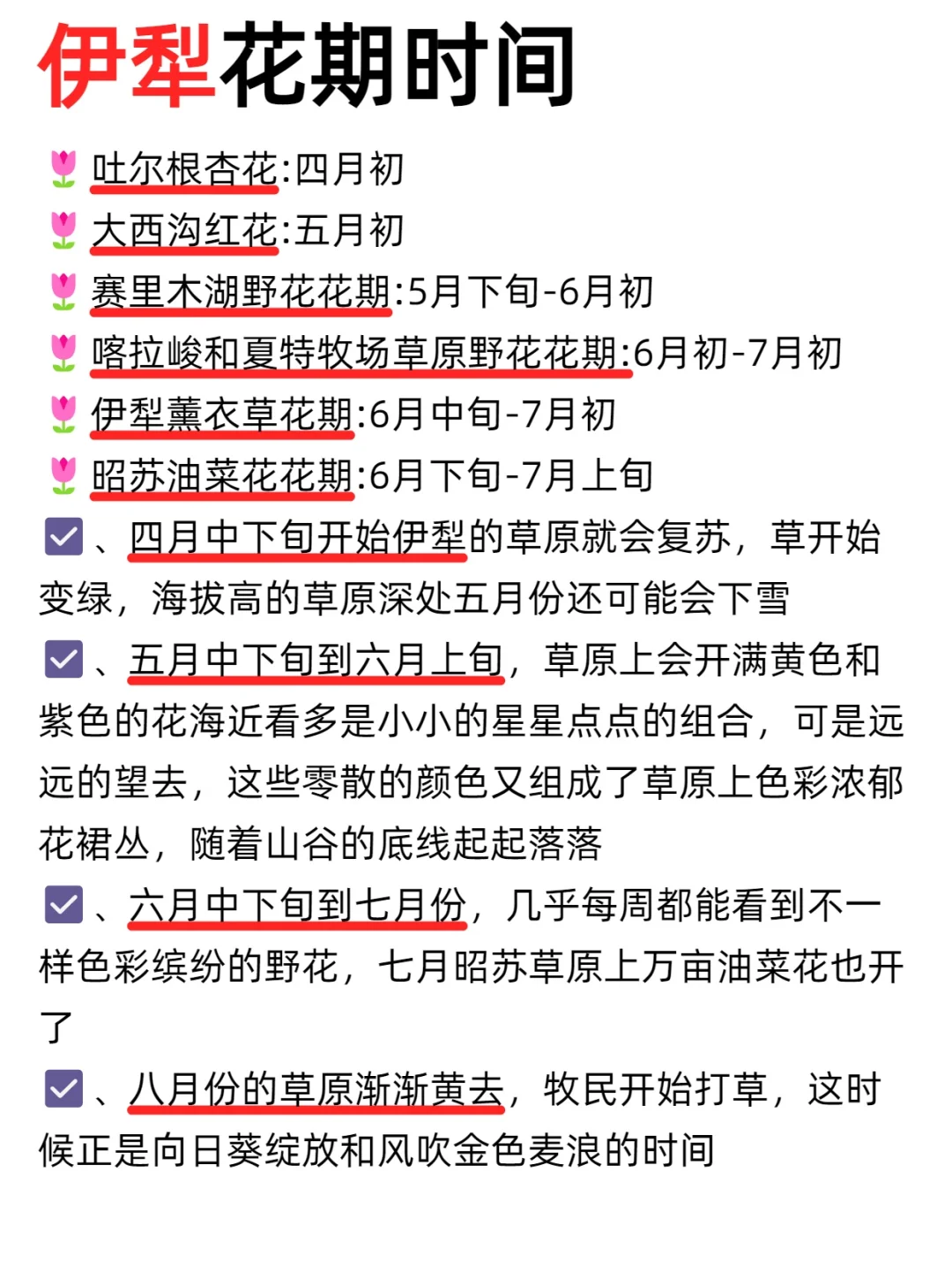 新疆旅游了6次，熬夜整理的伊犁旅游攻略