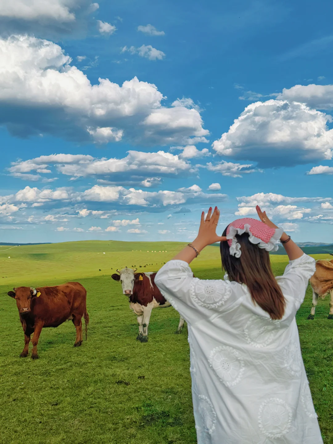 这个夏天总要来趟内蒙古小瑞士🌲(附live图)