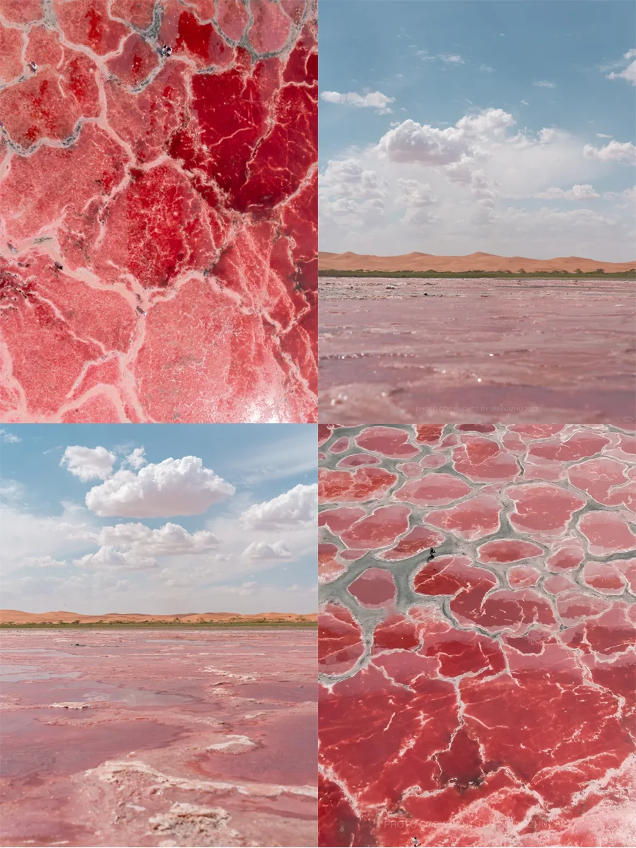 3-5月月去内蒙古的姐妹能刷到这篇🥰