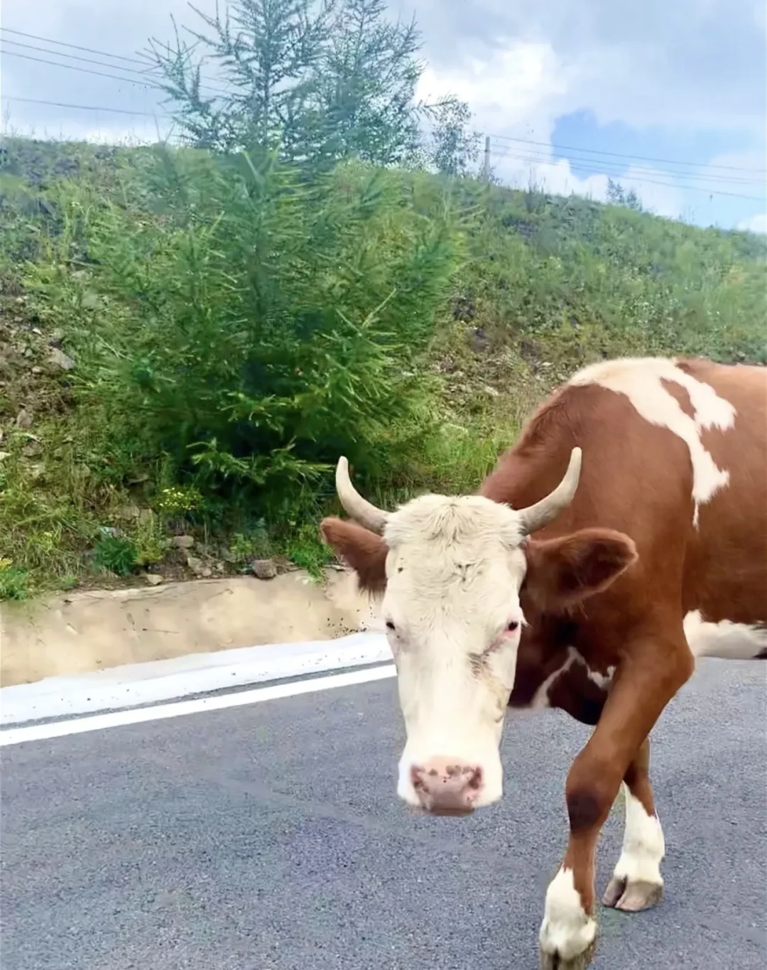 热阿线保姆级攻略｜性价比&体验感双天花板