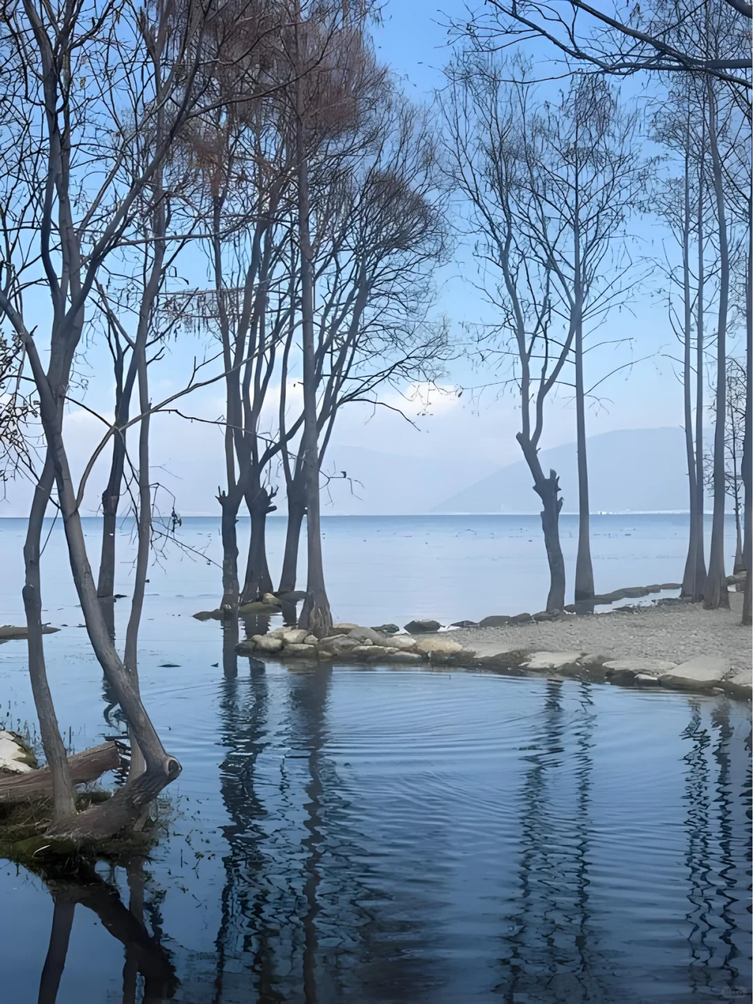 ✨大理 | 苍山洱海，奔赴一场浪漫之约💕