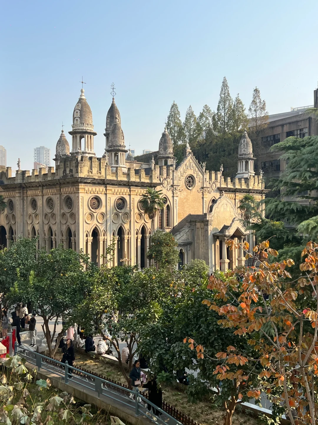 人生建议:一定要在3月樱花季🌸去一次武汉。。