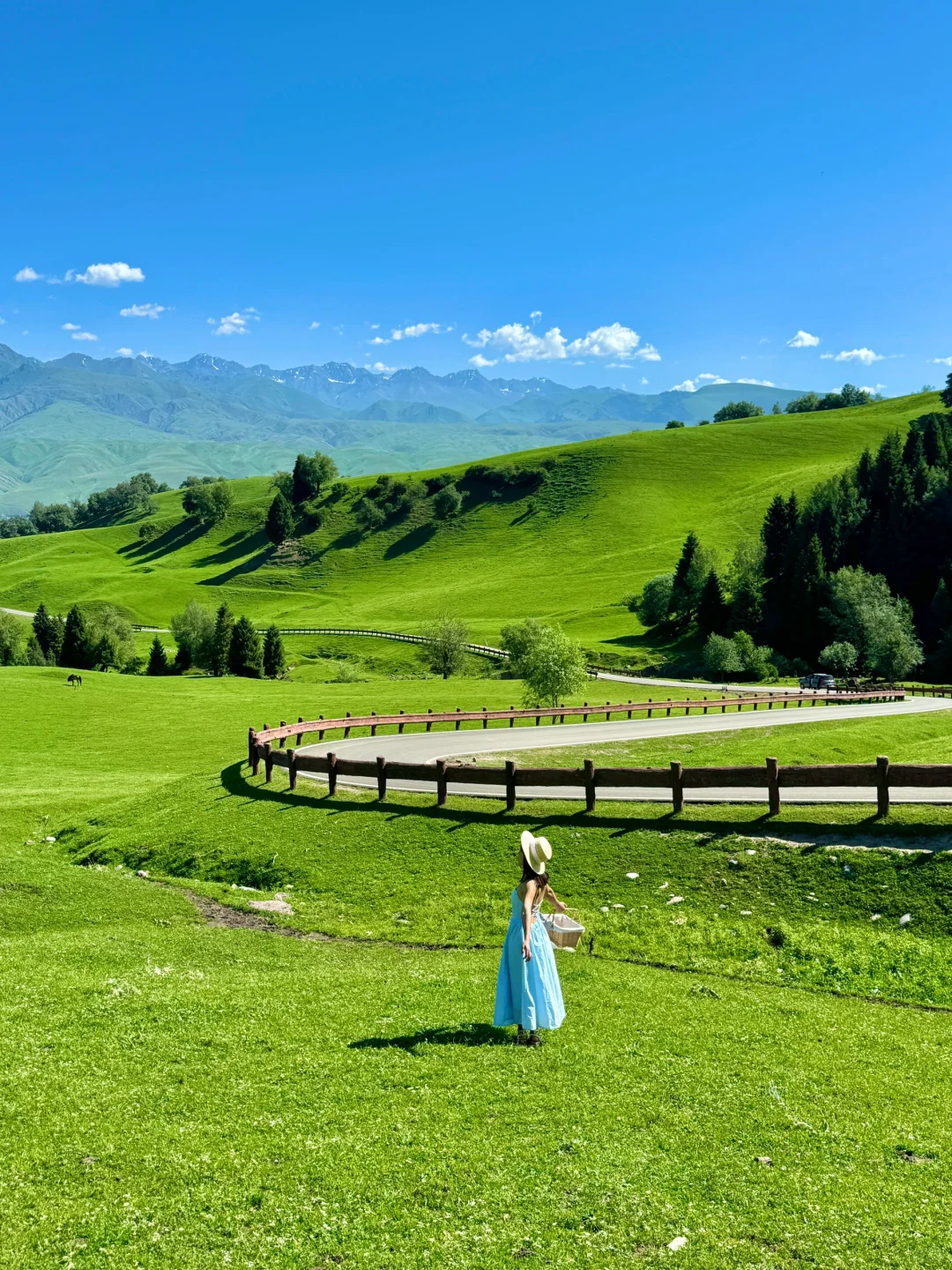 在新疆拍到了我的人生live图～🌳