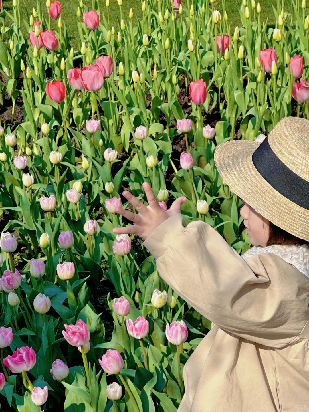 3.19实况！杭州太子湾刚回来，全是大实话！