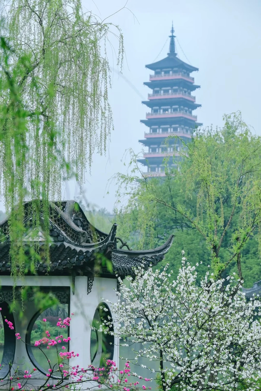 扬州会惩罚每个不做攻略的人！