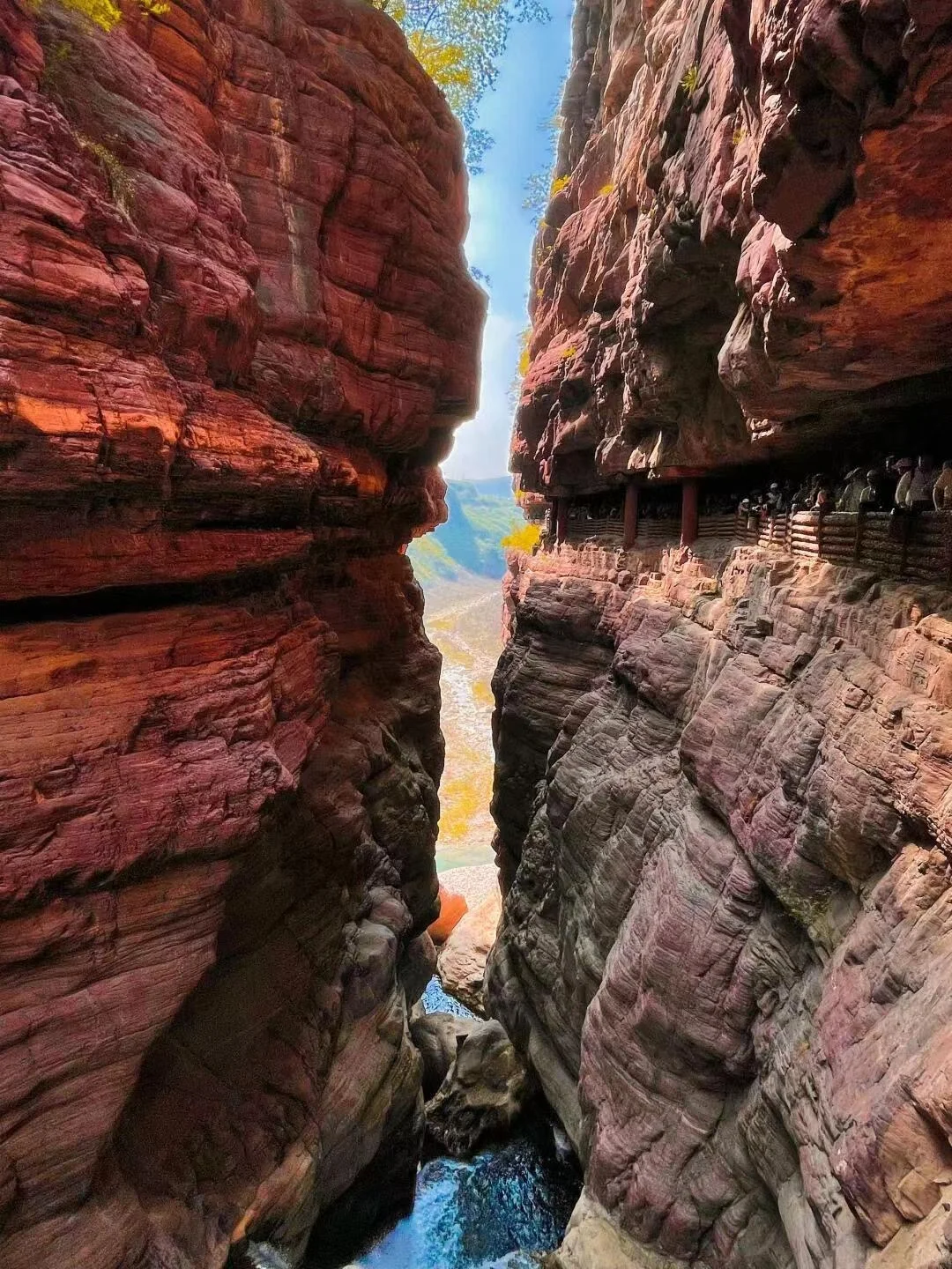 云台山3月免门票活动🤩成人截止到3.23日哦