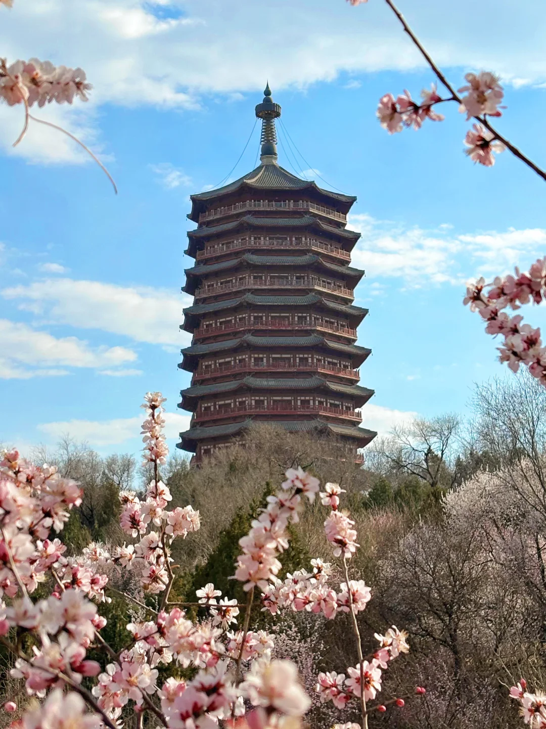 3.18 园博园桃花谷（附机位和地图）