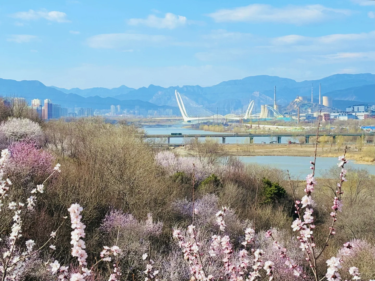 3.18 园博园桃花谷（附机位和地图）