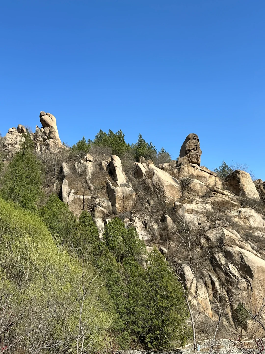 被追问无数次的北京春日徒步,邂逅梦幻花海