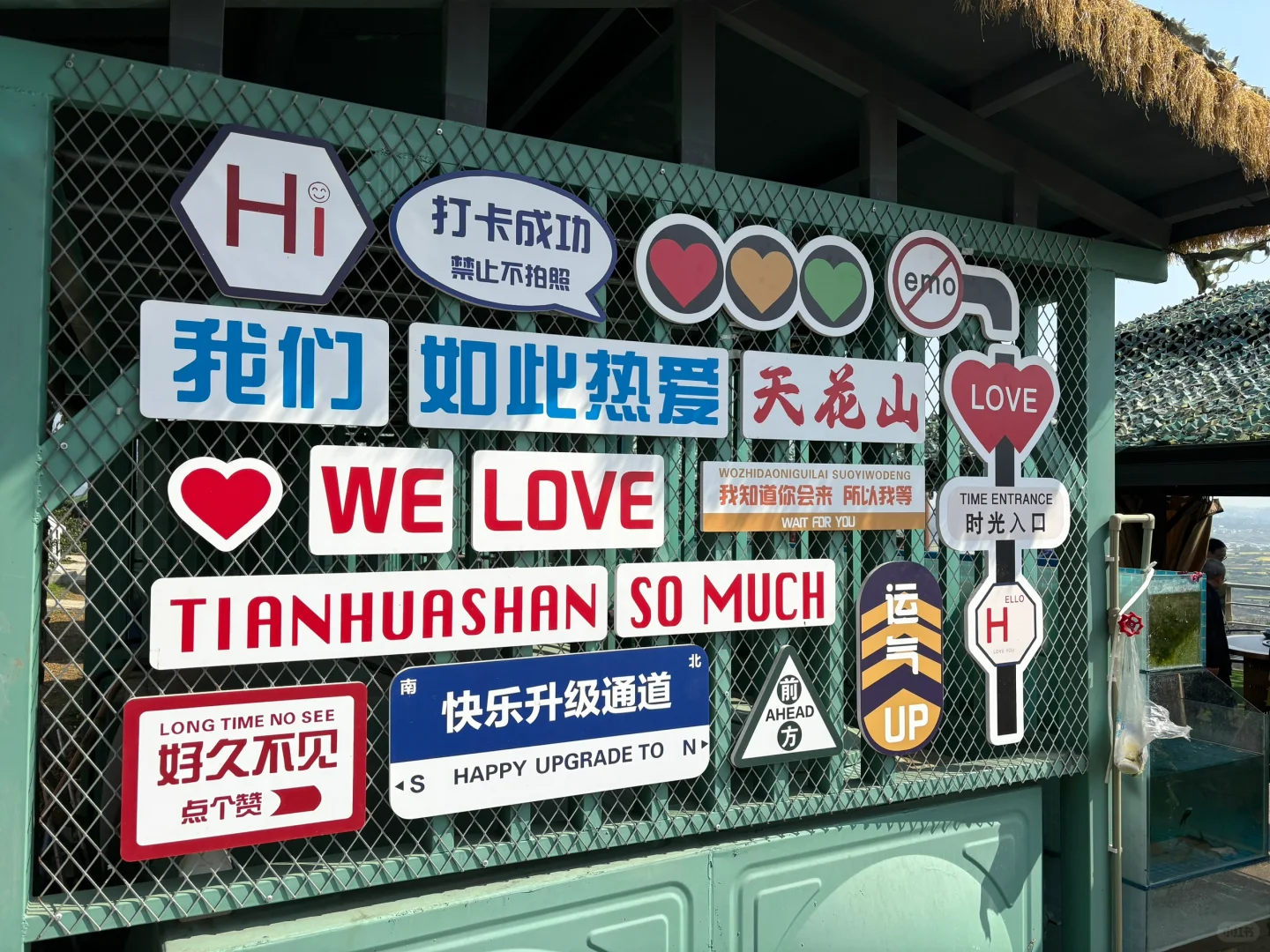 我们去看桃花啦~灵仙·金渔桃源