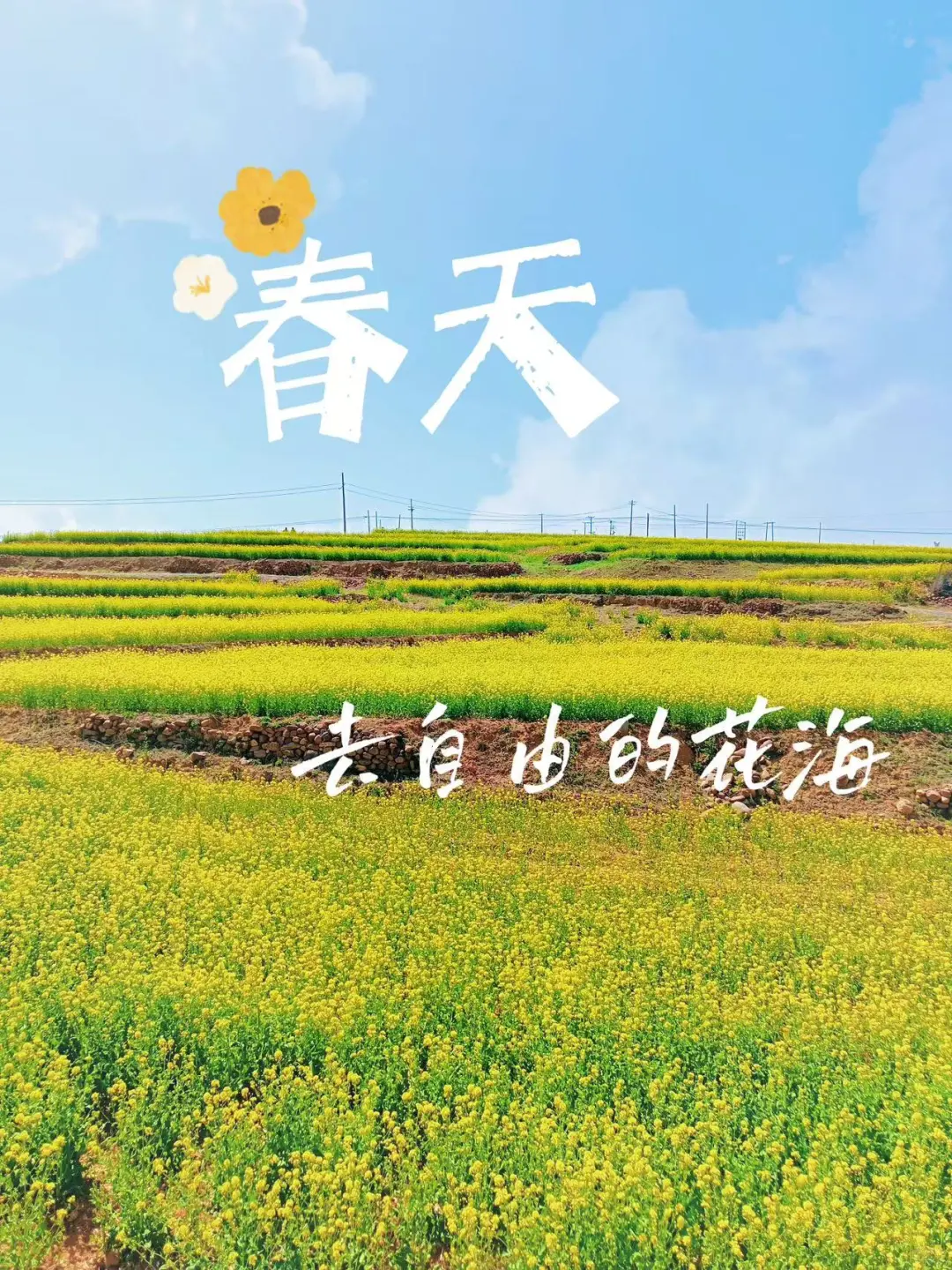 这不是婺源，这是邢台沙河红薯岭