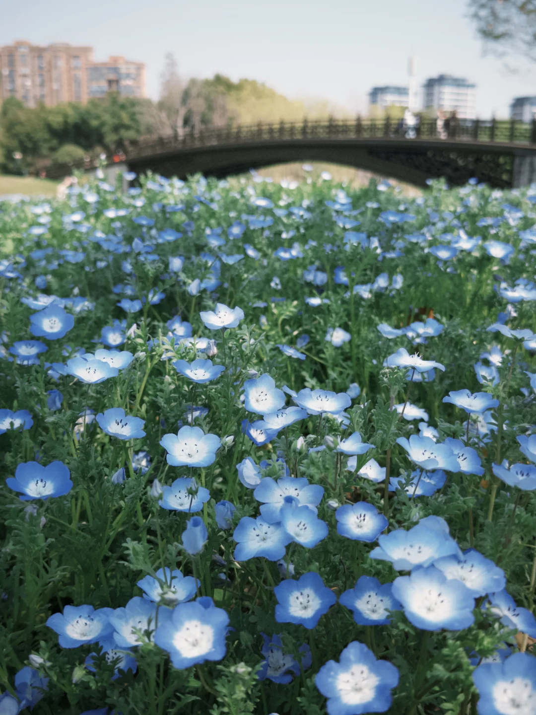 临海灵湖网红小木屋🏡