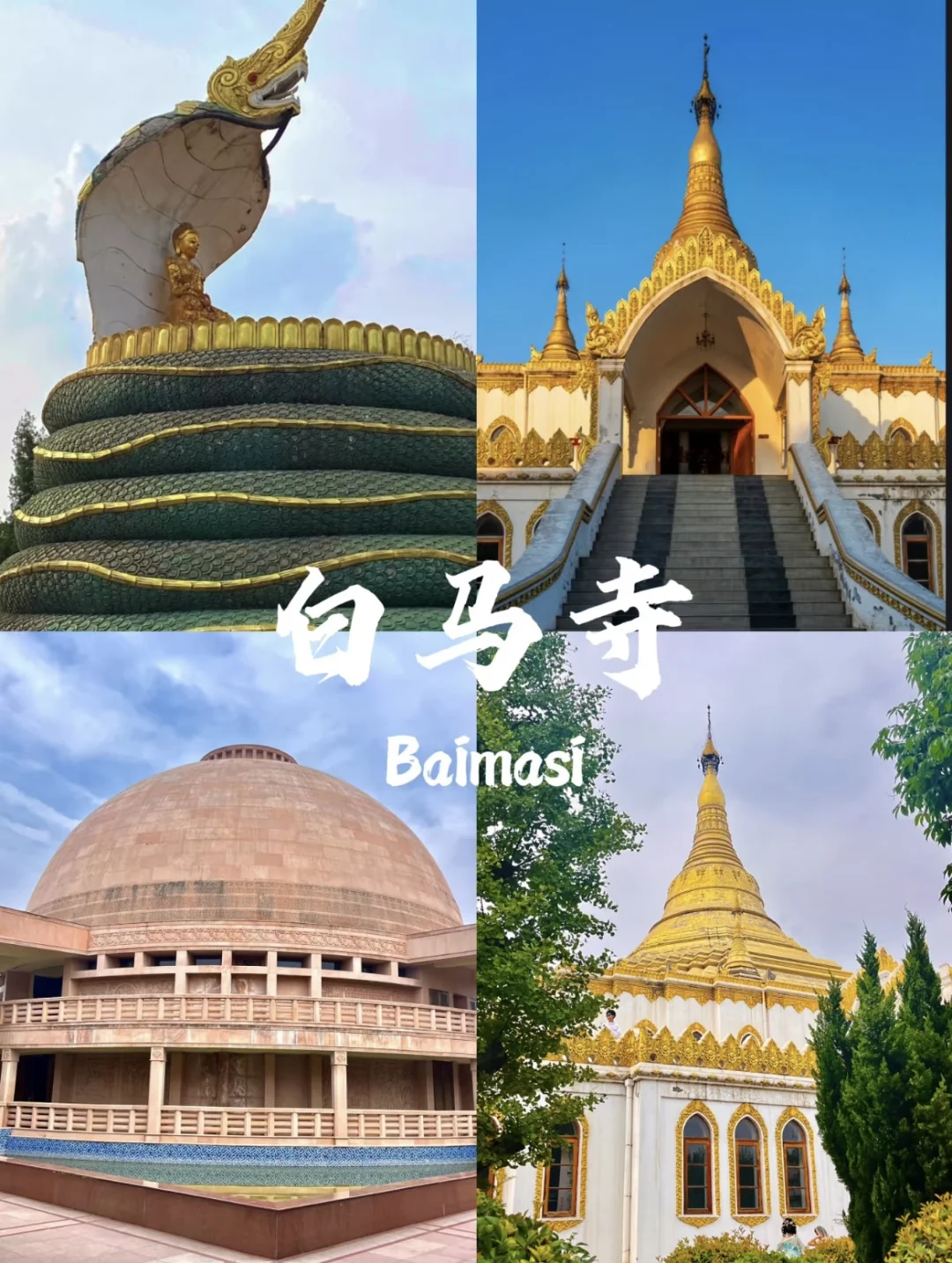 03女大📍洛阳/三天二夜详细版旅游攻略❗️