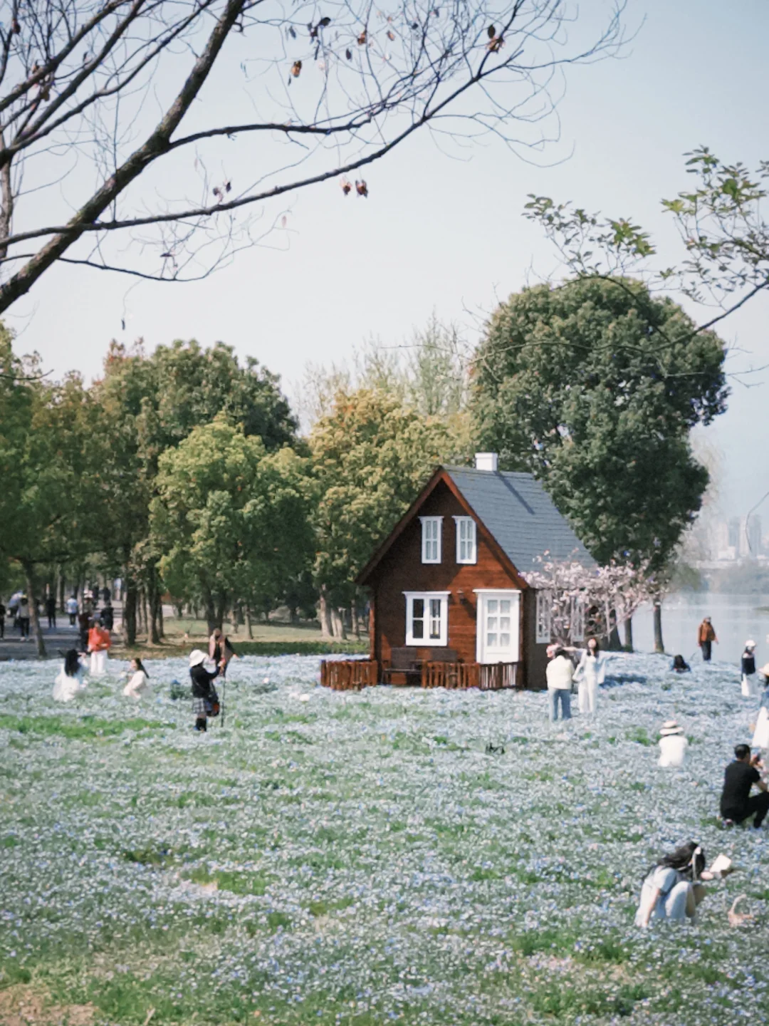 临海灵湖网红小木屋🏡