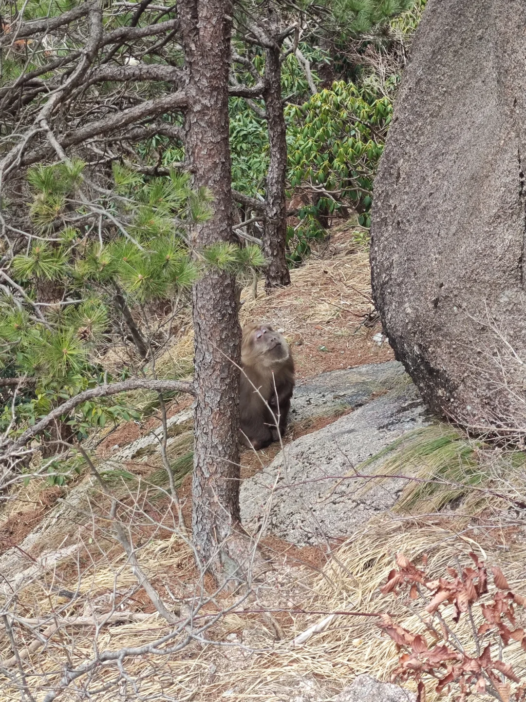 景德镇+婺源+黄山旅游攻略
