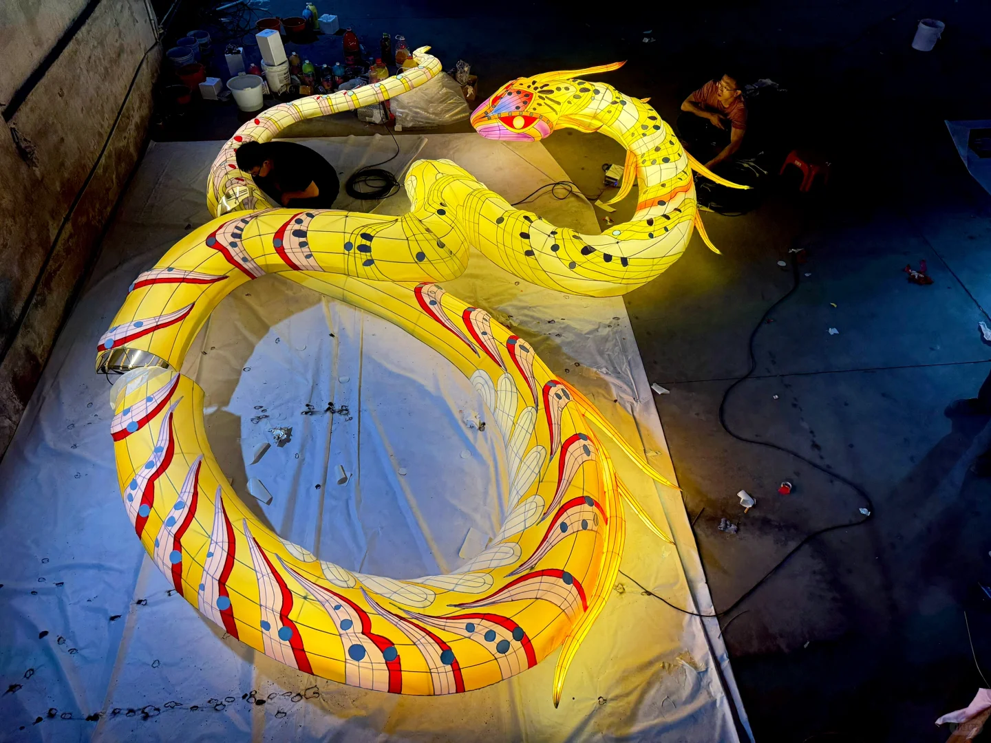 热爱➕行动=闪闪发光