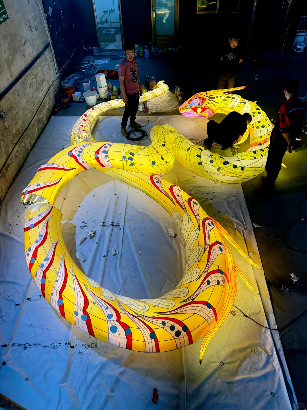 热爱➕行动=闪闪发光