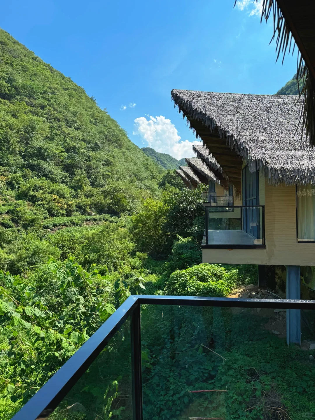 （河南📍）信阳！茶山下的民宿好city啊😭～