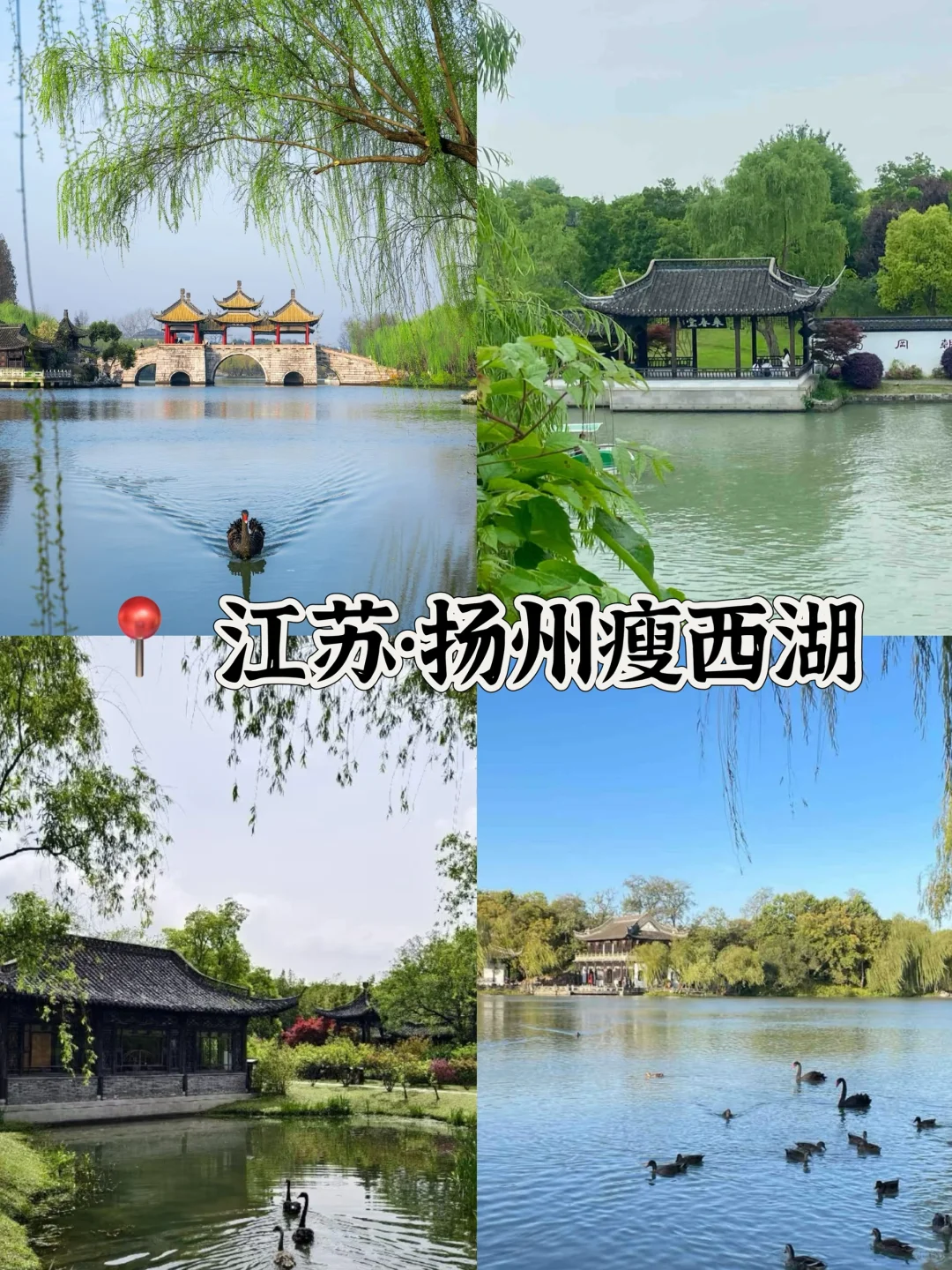 听劝‼️3-5月旅游一定来这🔟个城市感受春天