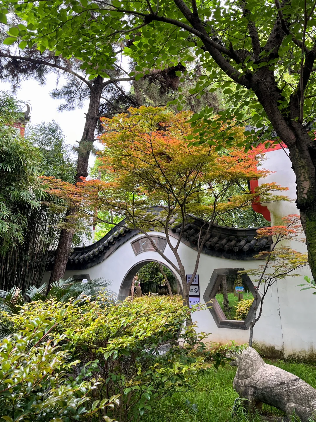 南昌春季限定景点 杏花楼🪷游玩拍照📸攻略