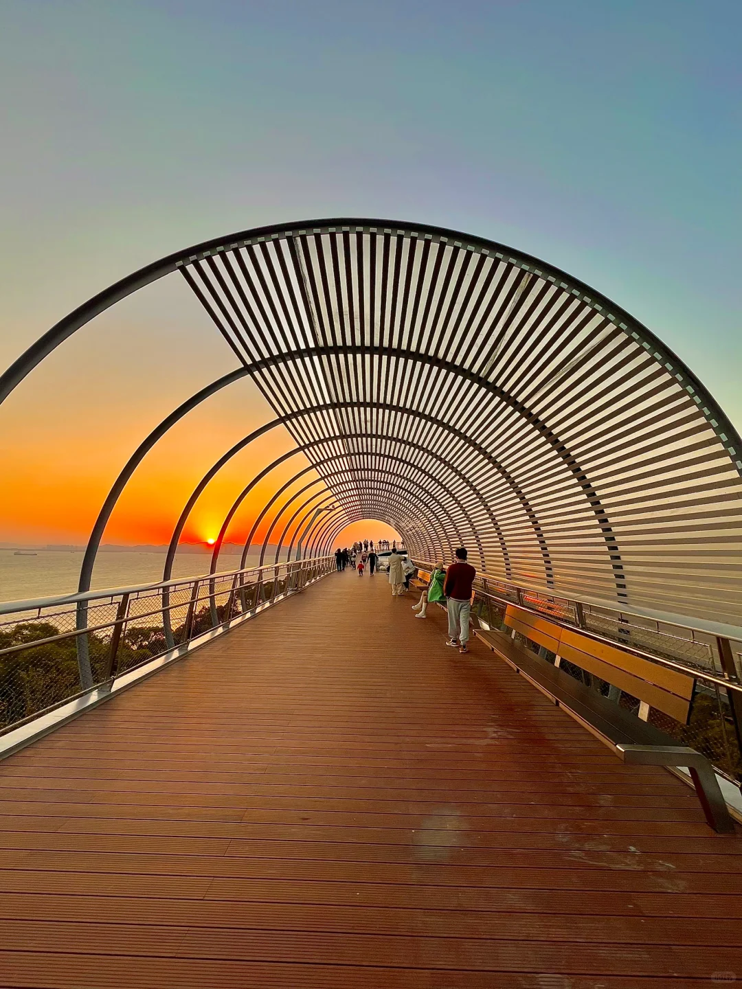 厦门最好的地方都是免费的……