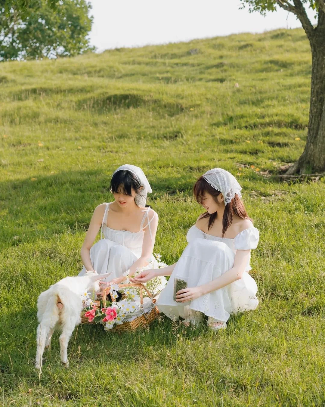 伊犁同款那拉提跟拍