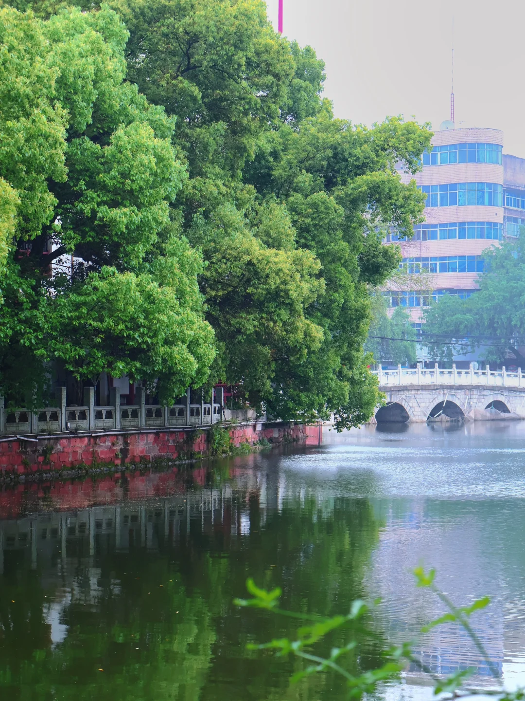 南昌春季限定景点 杏花楼🪷游玩拍照📸攻略