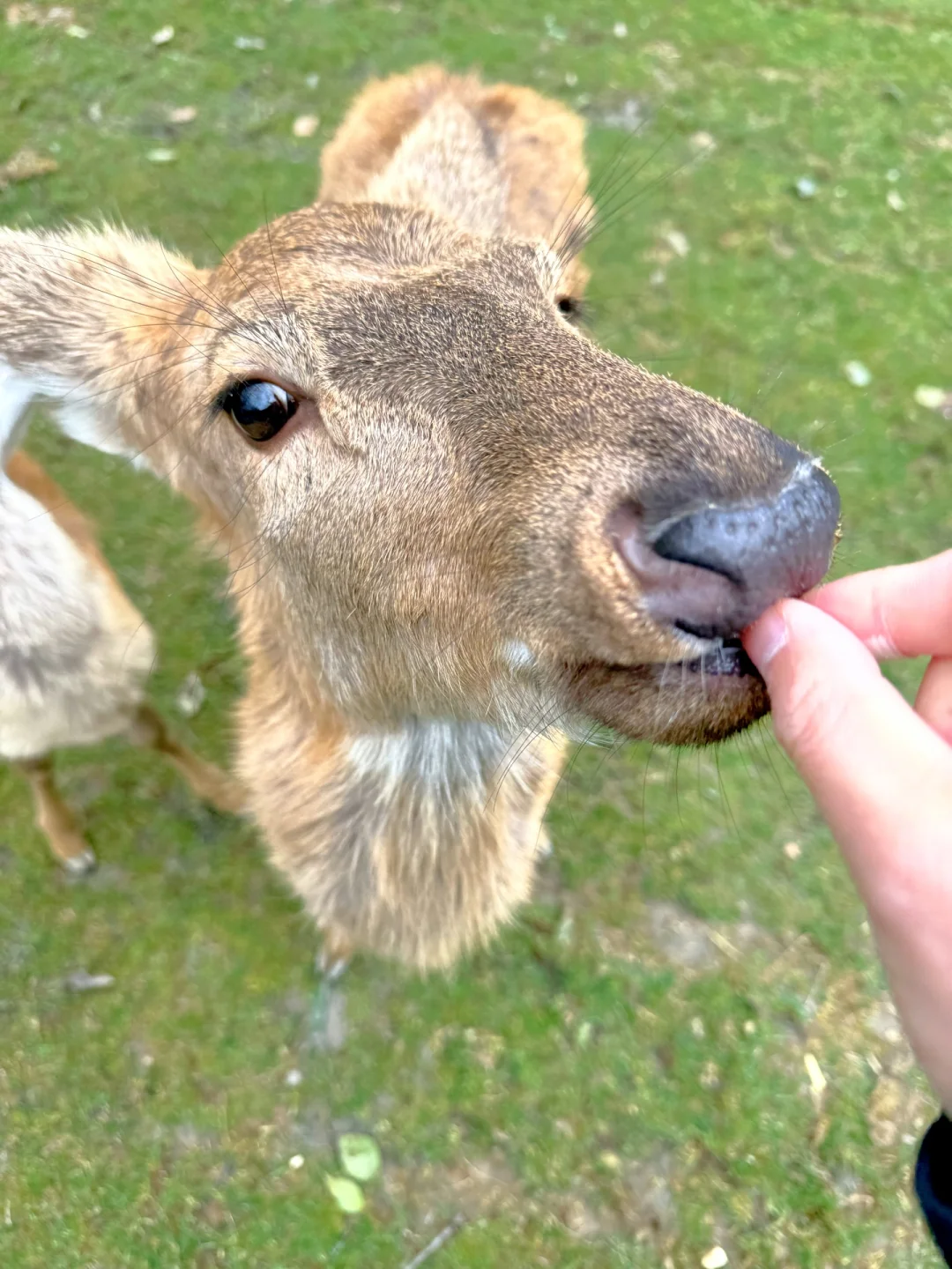 被国家地理评为最佳旅行地的宝藏小城有多绝