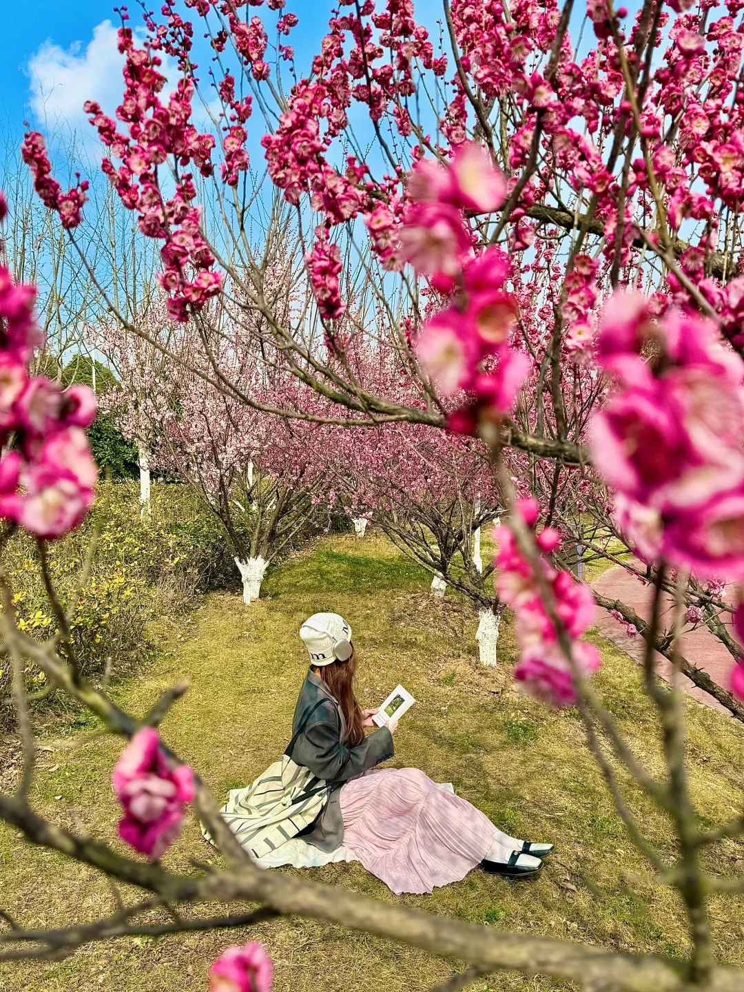 南京。。。果然最牛逼的地方都是免费的（附地址