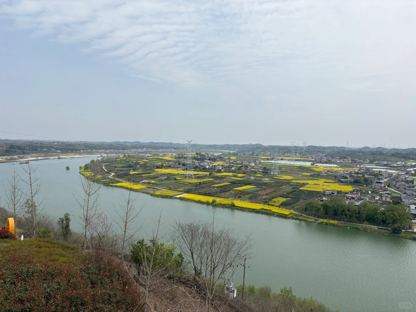 我们去看桃花啦~灵仙·金渔桃源