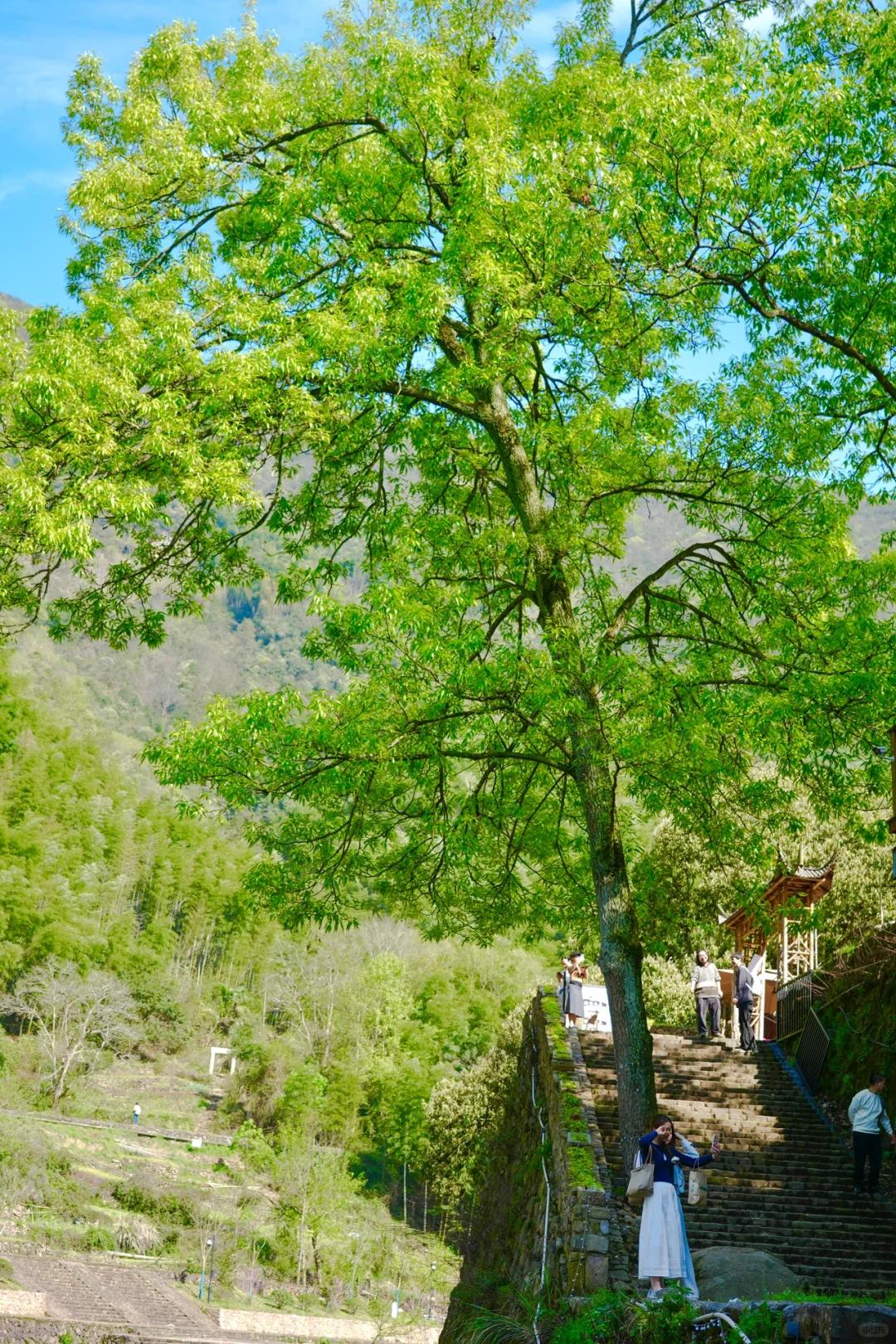 后悔为什么现在才去桐庐😭，两天一晚休闲游