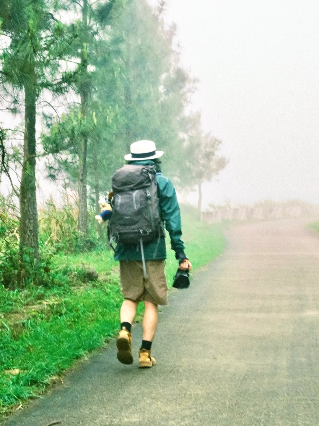 真的在广东！我走过最舒服的高山草甸徒步线
