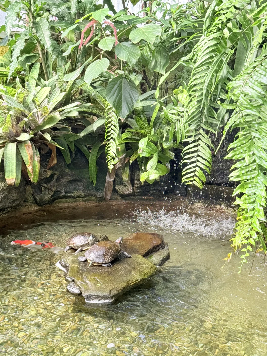 尔湾周边景点｜在Newport花的最值的5刀🌼