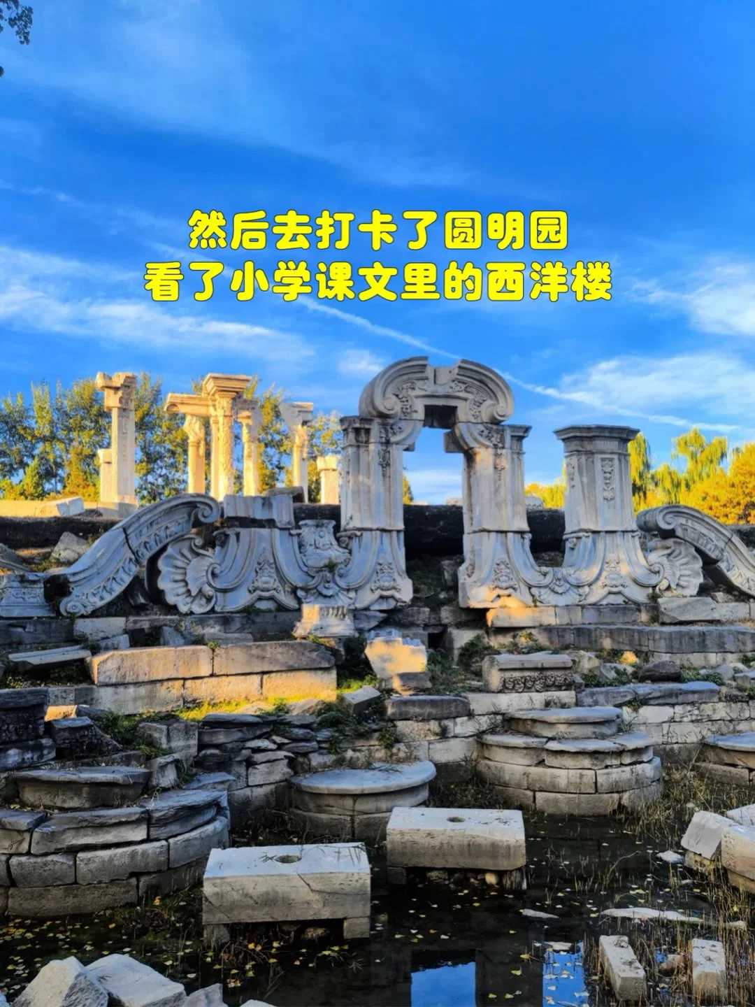 一起带爸妈去旅行吧✈️✈️