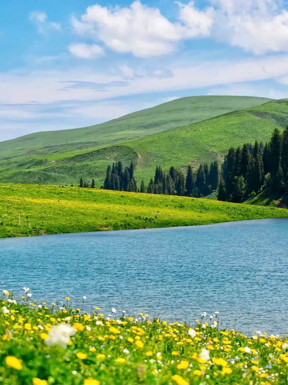 伊犁+赛里木湖8天7晚超全攻略!yyds