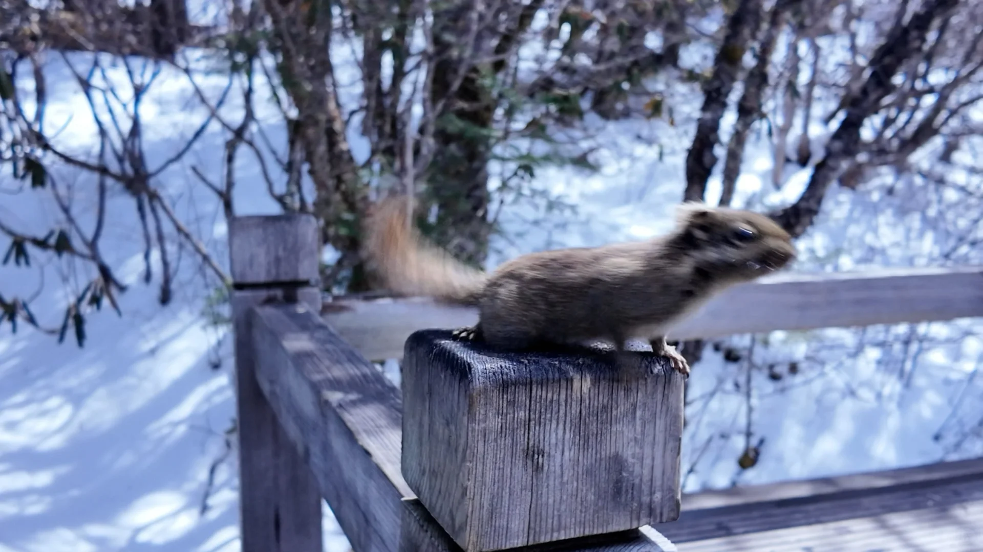 九寨沟是真的好看