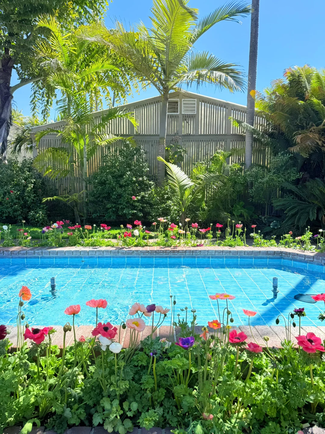 尔湾周边景点｜在Newport花的最值的5刀🌼