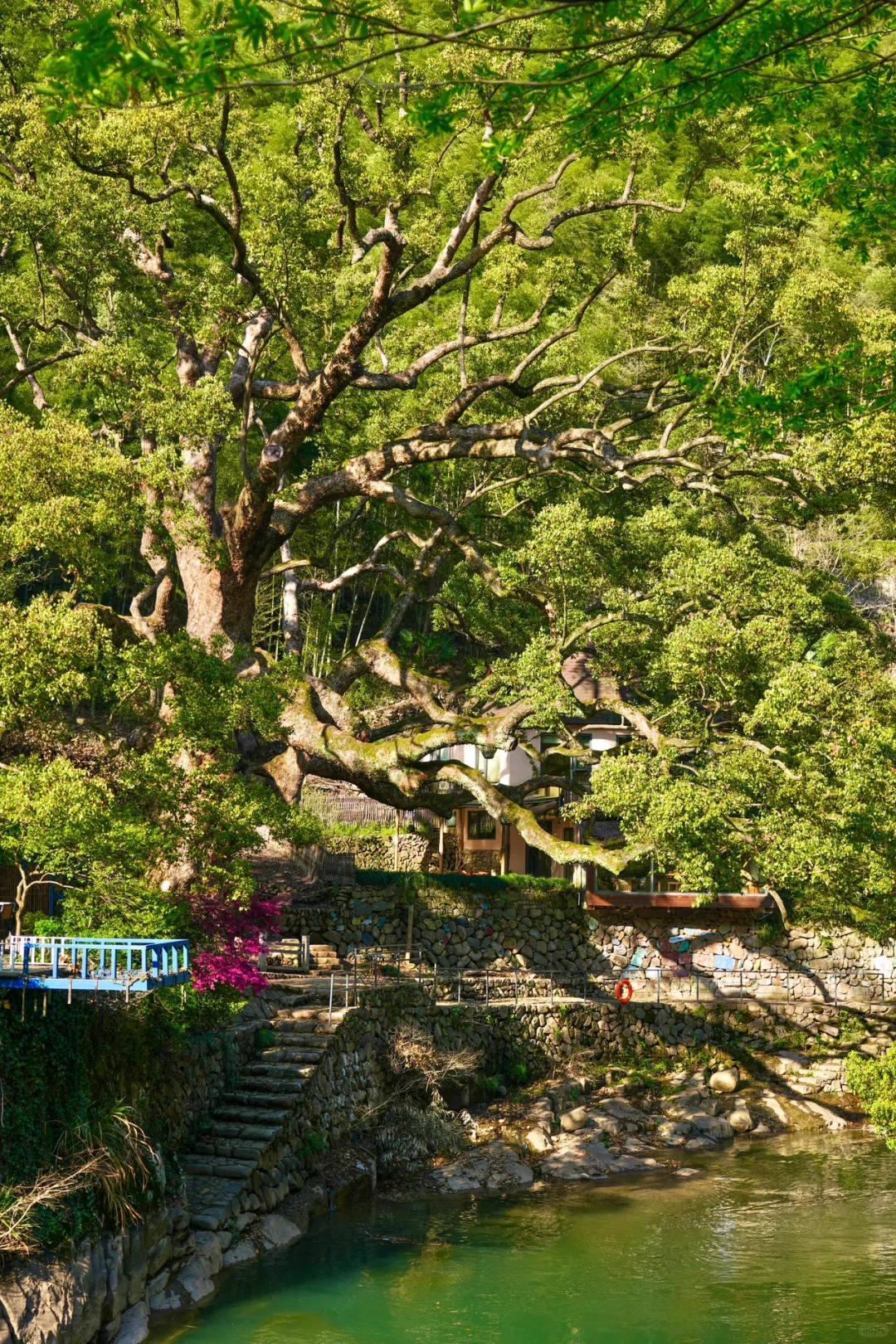 后悔为什么现在才去桐庐😭，两天一晚休闲游