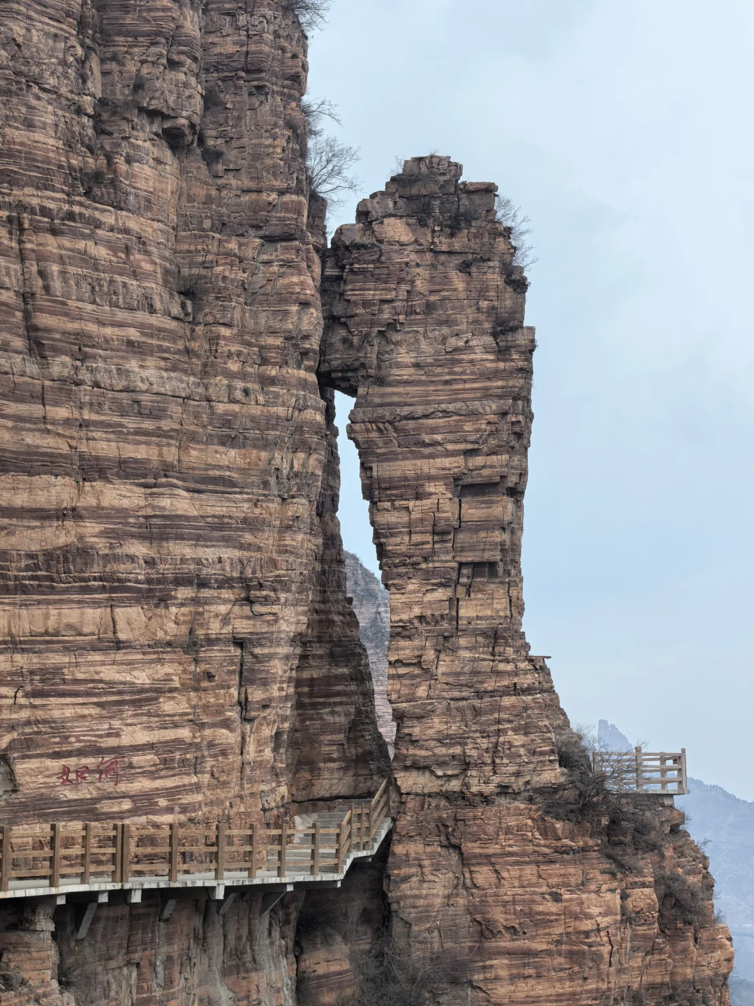 这么近，那么美